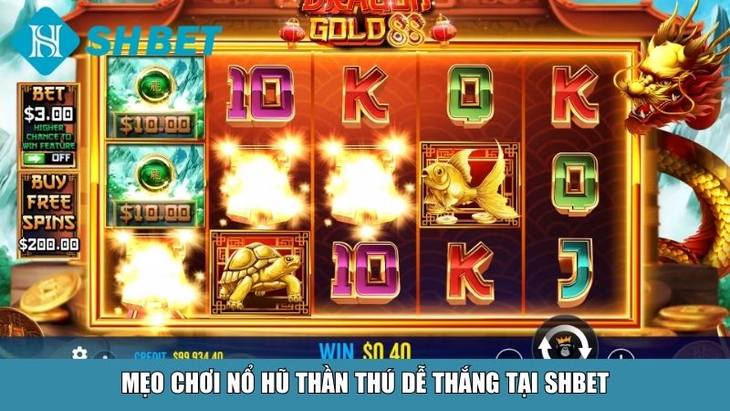 Nổ Hũ Thần Thú – Trải Nghiệm Săn Thưởng Đỉnh Cao Tại Nhà Cái SHBET 4 Mẹo chơi nổ hũ Thần Thú dễ thắng tại SHBET