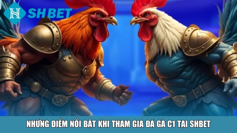 Đá Gà C1 Tại SHBET – Sân Chơi Đỉnh Cao Cho Người Đam Mê 11 Những điểm nổi bật khi tham gia đá gà C1 tại SHBET