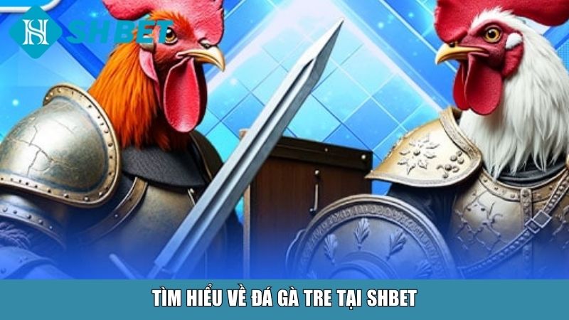 Đá Gà Tre Tại SHBET – Trải Nghiệm Chiến Kê Thần Thoại 10 Tìm hiểu về đá gà tre tại SHBET